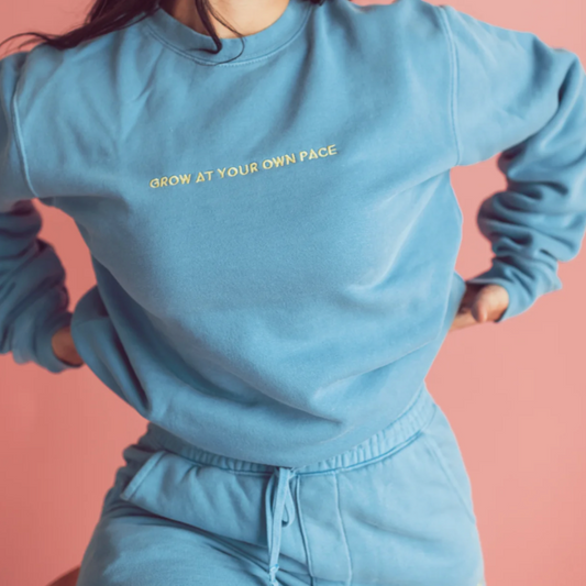 Grow At Your Own Pace Pullover - Embroidered Crewneck Sweatshirt, by JZD, a Latina Founded and Owned Brand, Casual
